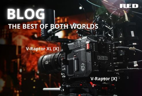 RED: V-RAPTOR X Y V-RAPTOR XL 